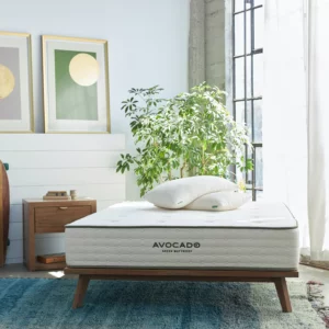 Best Mattress For Back Pain
