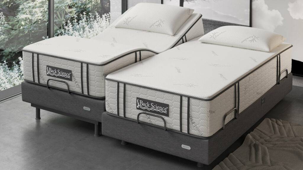 Back Science Series 2 Mattress - Split King (Mattress Review)