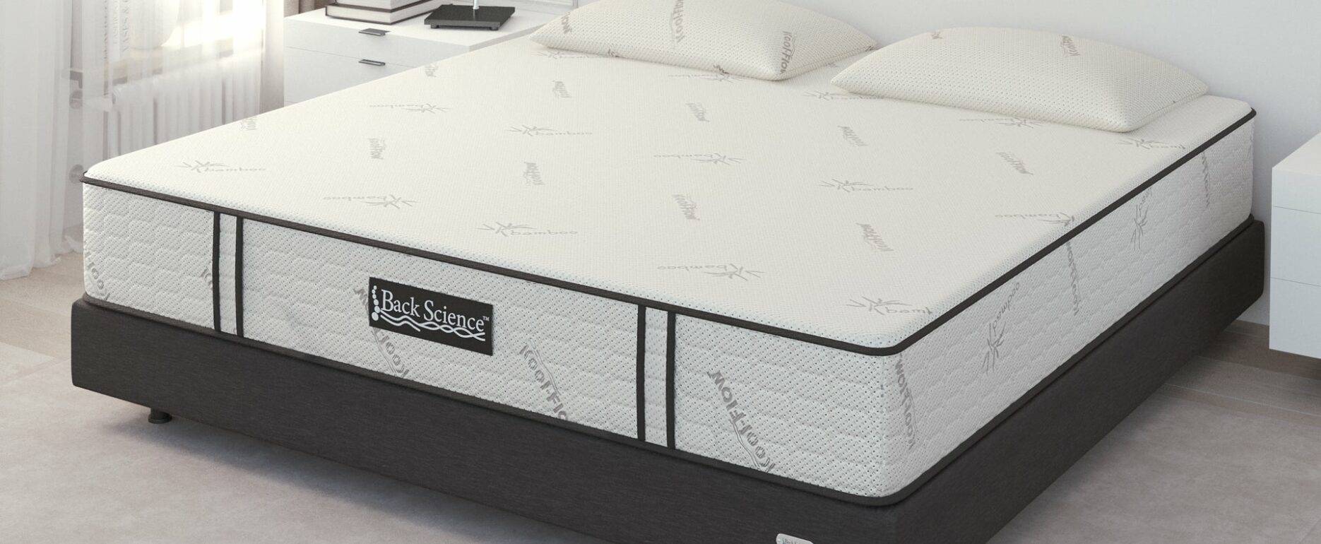 Back Science Series 2 Mattress Reviewed