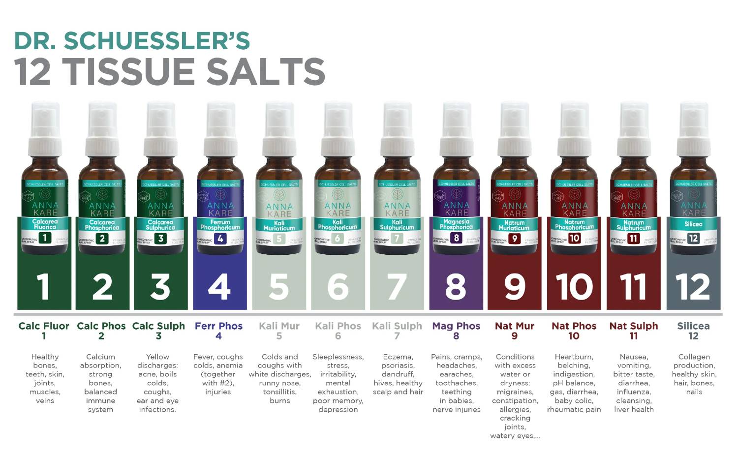 Different Types of Dr. Schuessler’s 12 Tissue Salts